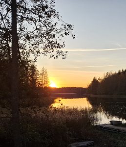 Rantamaisema / Beach landscape
